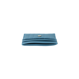 Baby Blue Card Holder